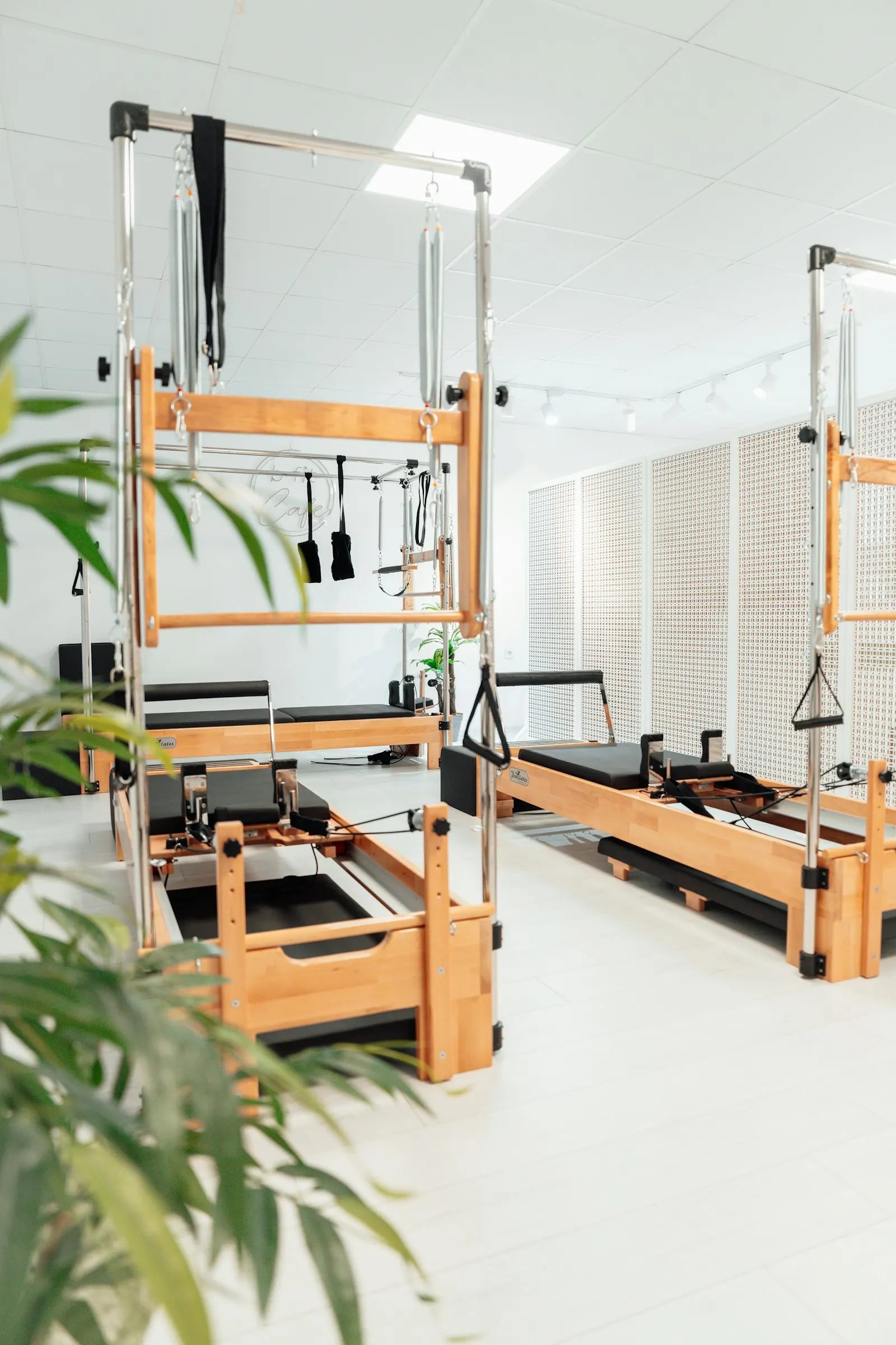 Cadillac ve reformer aletleri, bitkiler