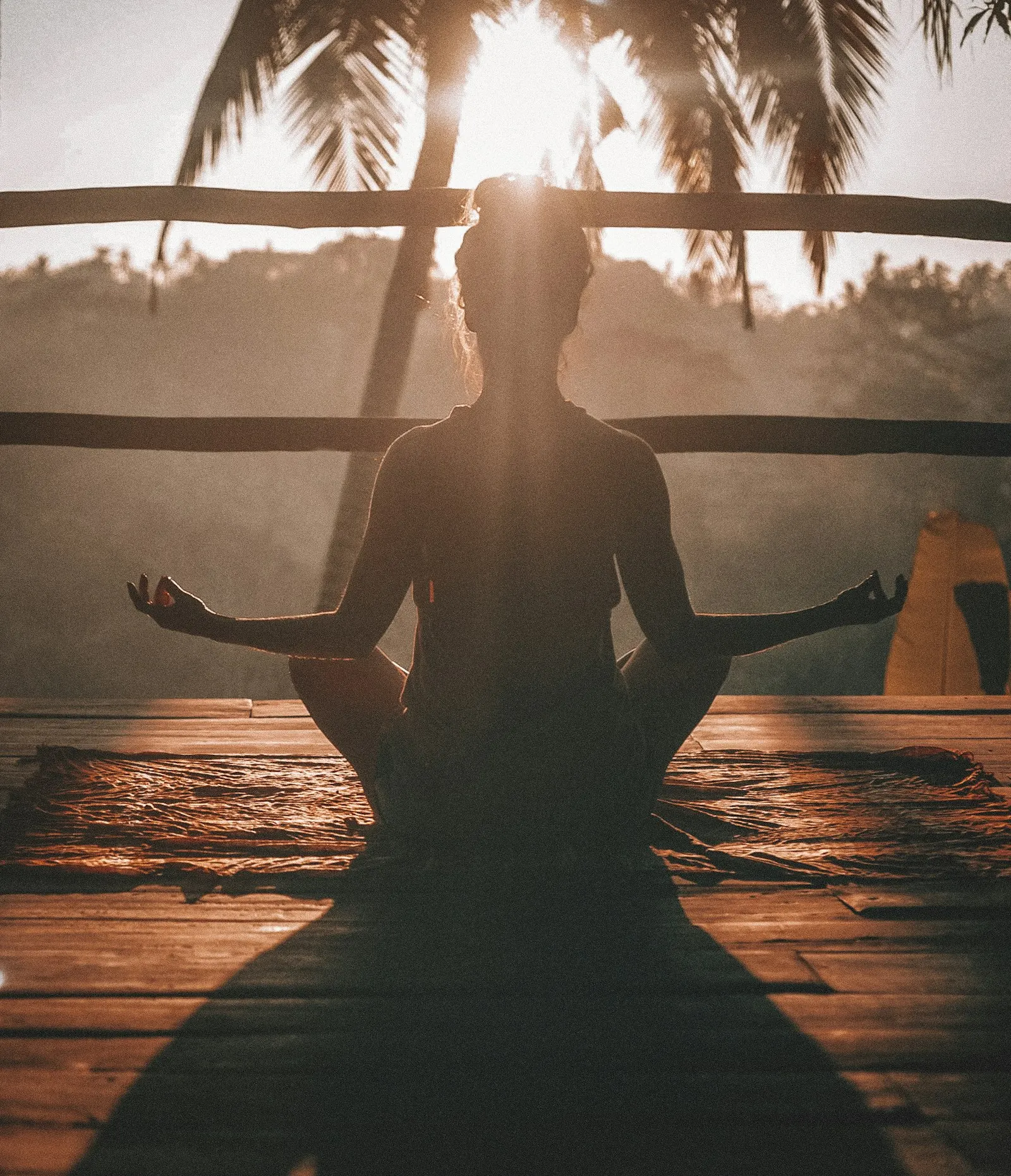 Palmiyeler önünde meditasyon silueti